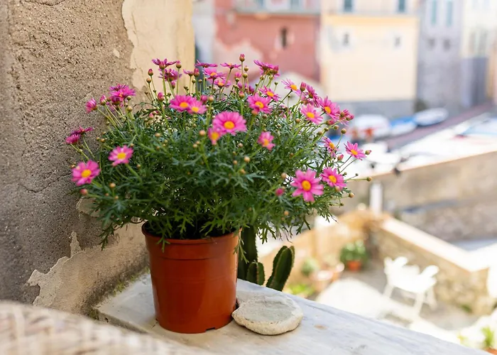 Tellaro, Terra-tetto La Marina Телларо